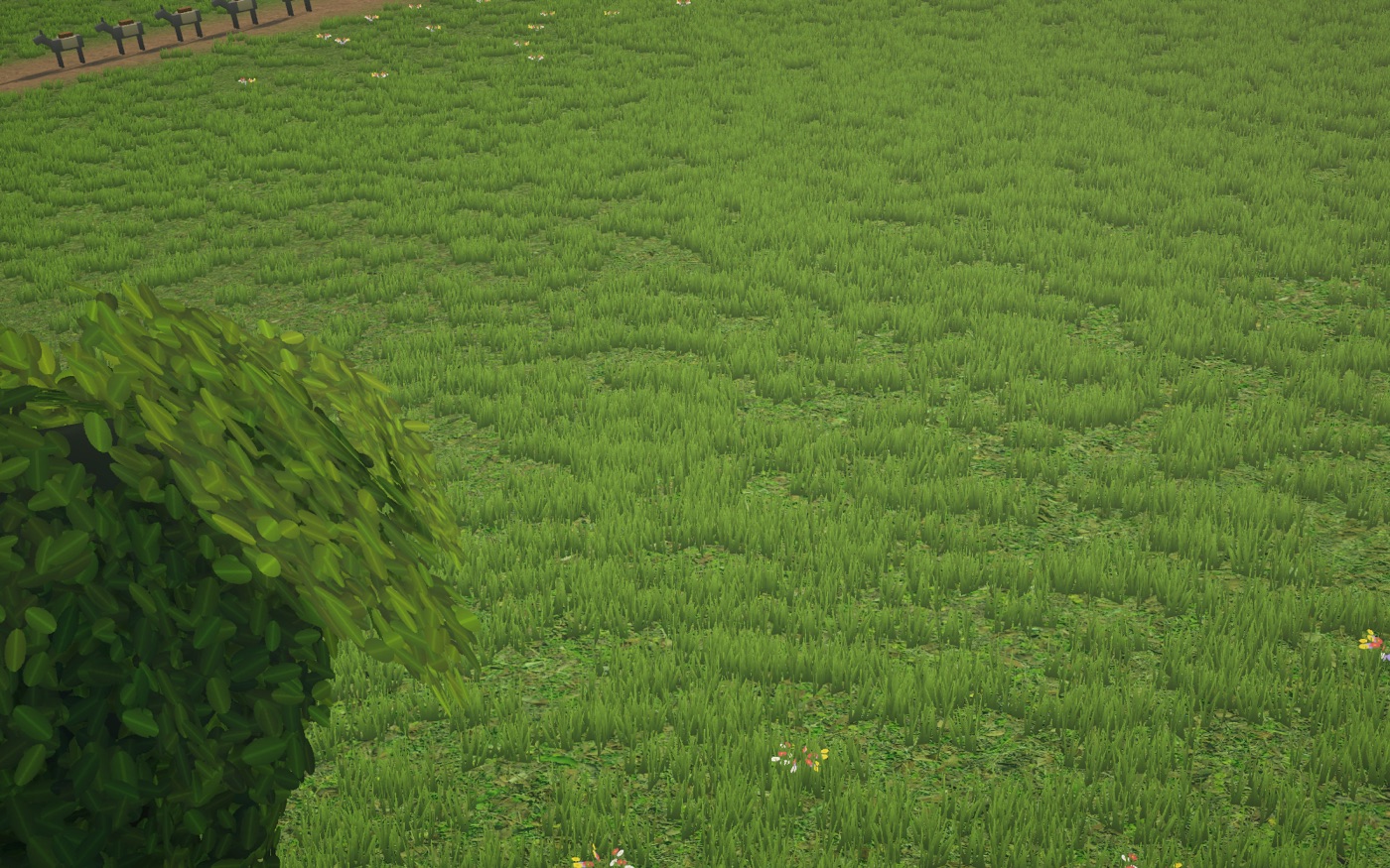 Meadow up close